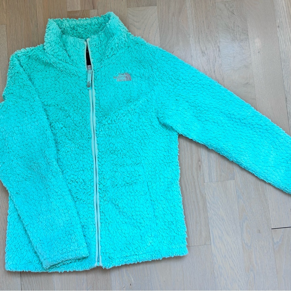 The North Face Laurel  Fleece Jacket girls size 14-16 Large Ice Green